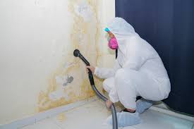 Best Attic Mold Removal  in Quincy, IL